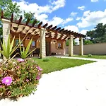 Oasis Miro