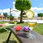 Oasis Miro Vila Dracevac Ninski