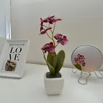 Oasis Miro