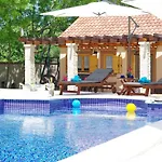 Oasis Miro