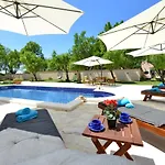 Oasis Miro