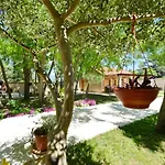 Oasis Miro Vila
