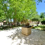 Oasis Miro *