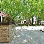 Oasis Miro Dracevac Ninski