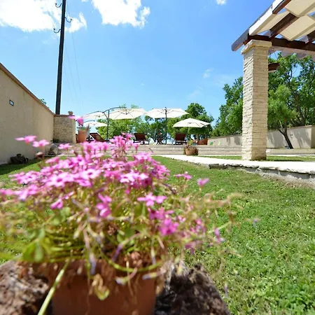 Villa Oasis Miro Dracevac Ninski