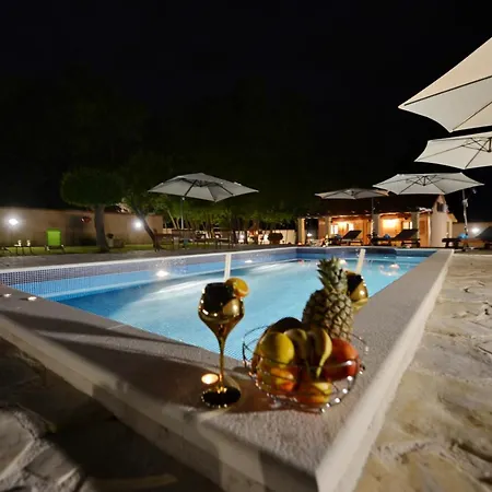 Oasis Miro
