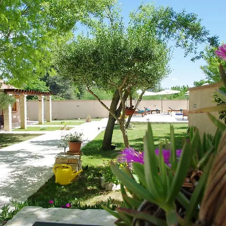 Villa Oasis Miro Dračevac Ninski