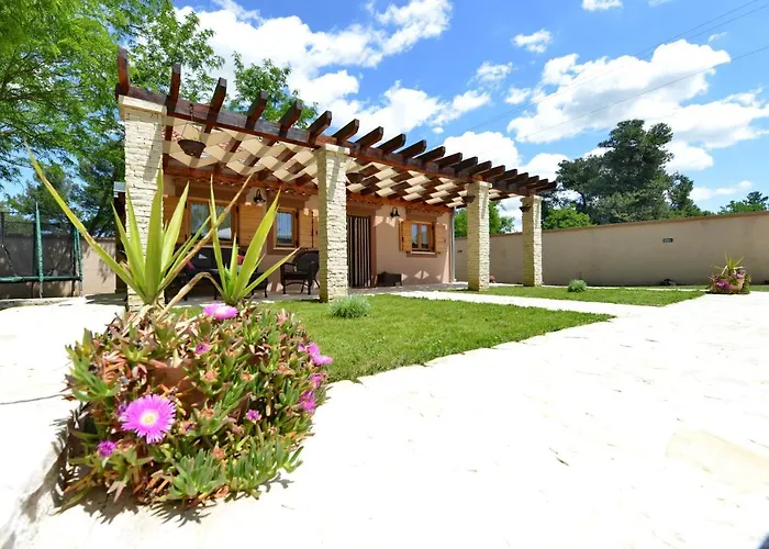 Oasis Miro