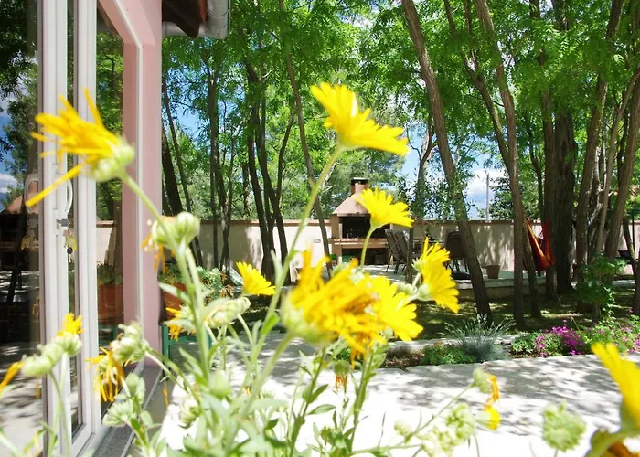 Oasis Miro