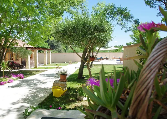Villa Oasis Miro Dracevac Ninski