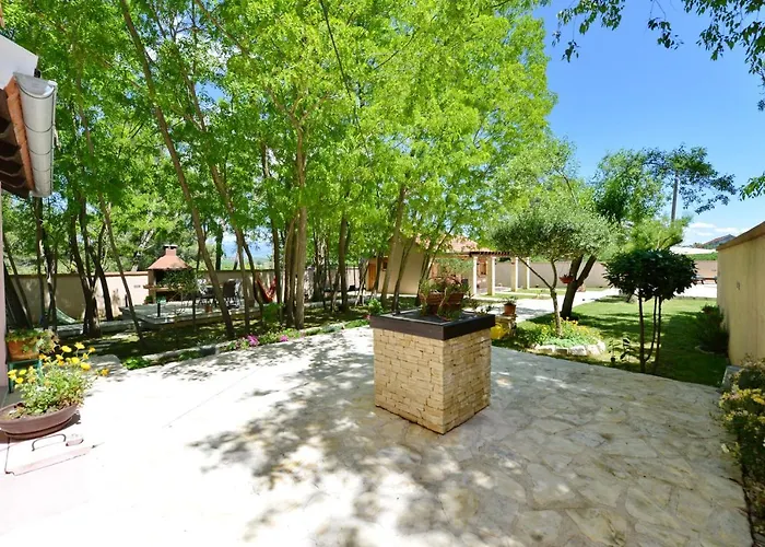 Oasis Miro *