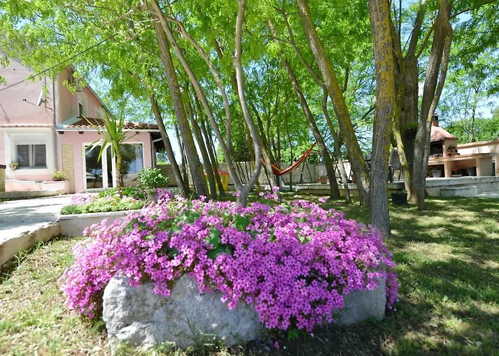 Villa Oasis Miro