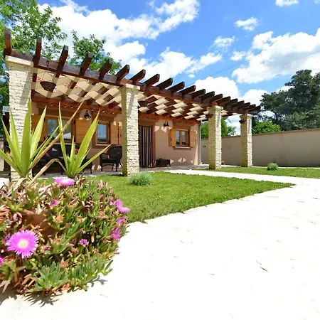 Oasis Miro