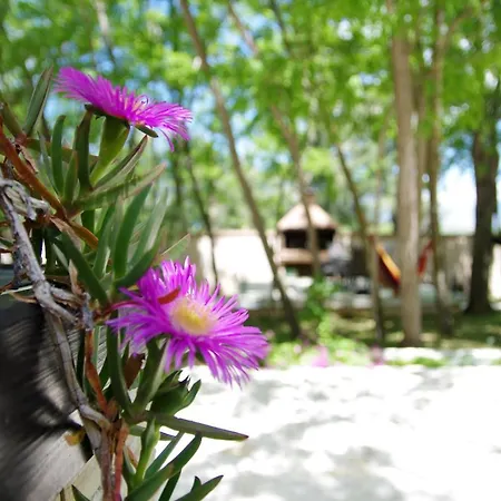 ヴィラ Oasis Miro *