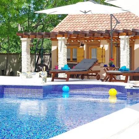 Oasis Miro