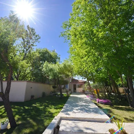 Oasis Miro Dračevac Ninski