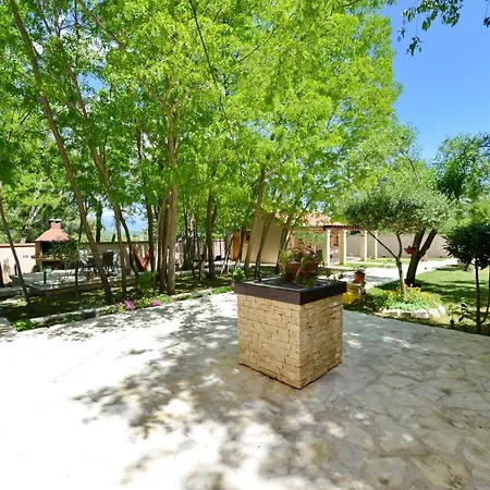 Oasis Miro *