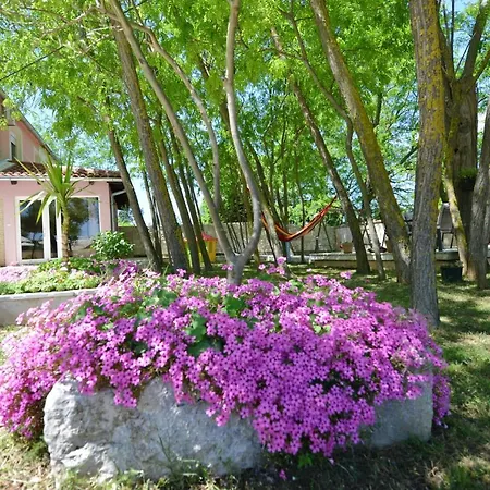 ヴィラ Oasis Miro