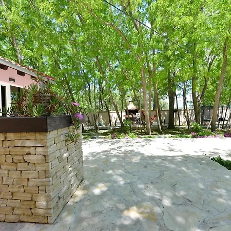 Oasis Miro Dračevac Ninski