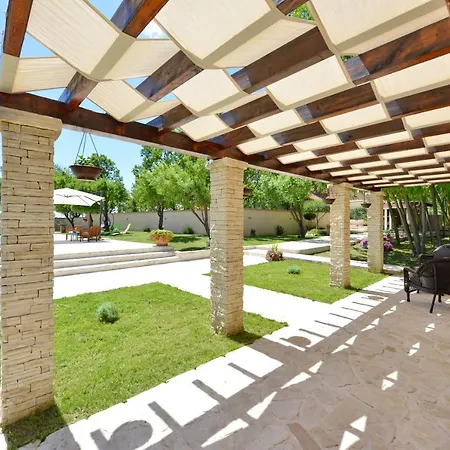 Oasis Miro Dračevac Ninski