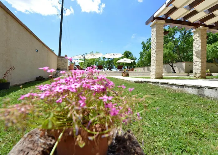 Vila Oasis Miro Dracevac Ninski