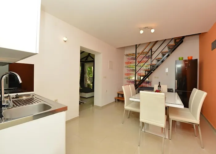 Oasis Miro * Dracevac Ninski