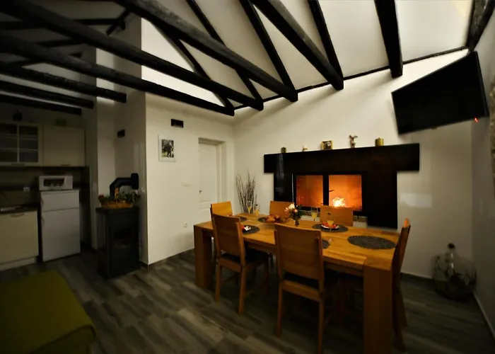 Oasis Miro Dracevac Ninski