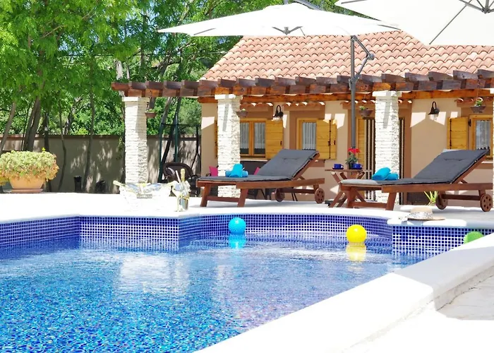 Oasis Miro