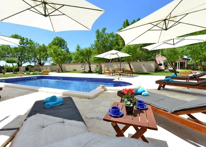 Oasis Miro