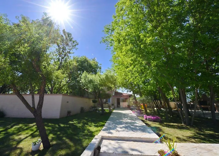 Oasis Miro Dracevac Ninski