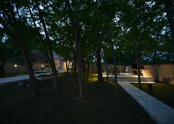Oasis Miro فيلة *