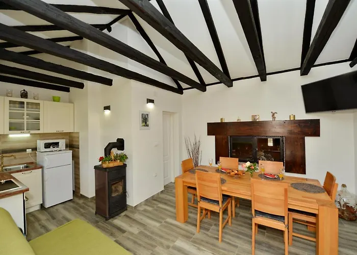 Oasis Miro * Dracevac Ninski