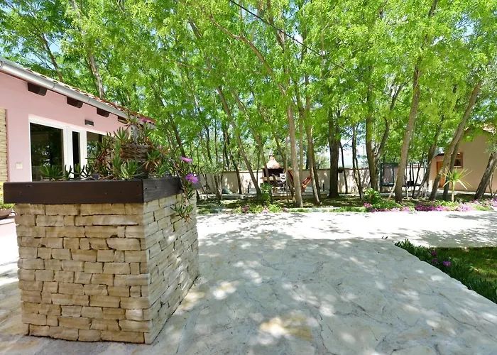 Oasis Miro Dracevac Ninski