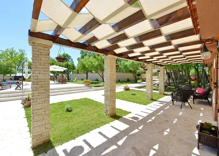 Oasis Miro Dracevac Ninski